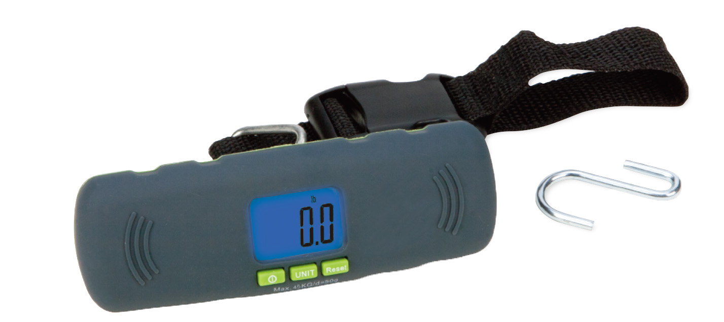 Luggage scale